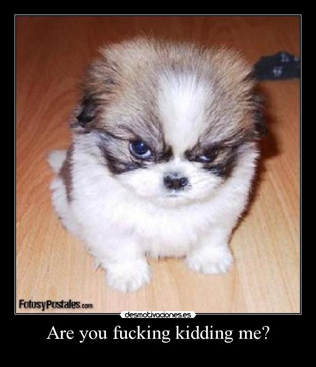 Are you fucking kidding me? -