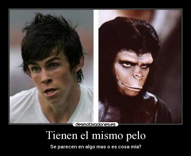 Tienen el mismo pelo - 