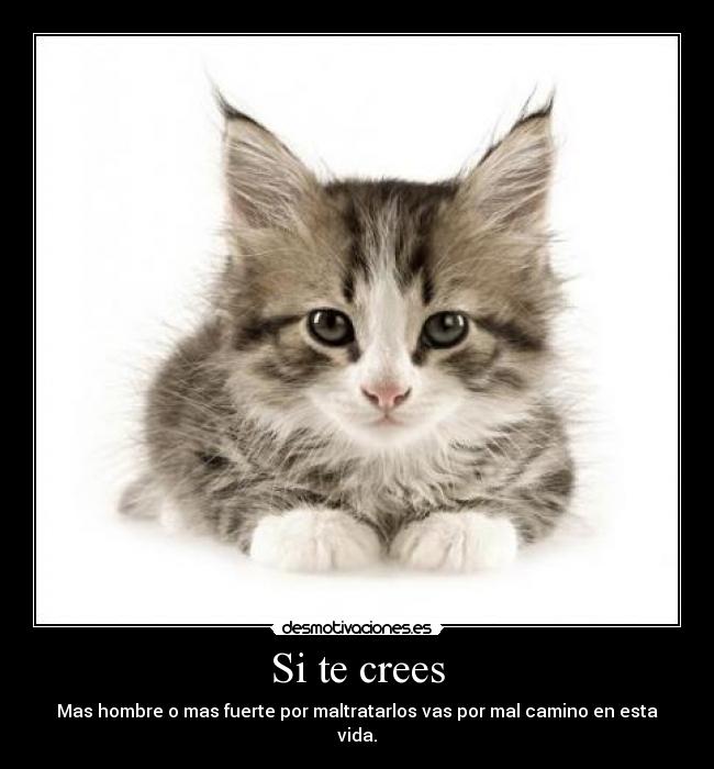 Si te crees - 