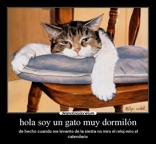 carteles albora desmotivaciones