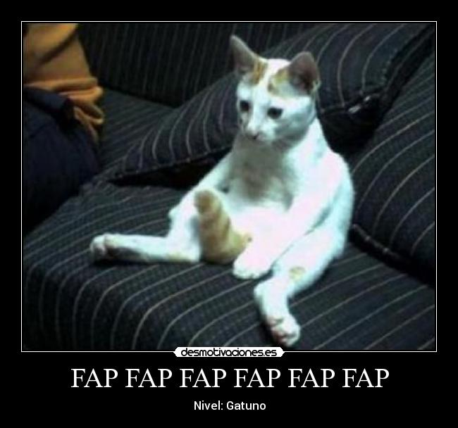 FAP FAP FAP FAP FAP FAP - 