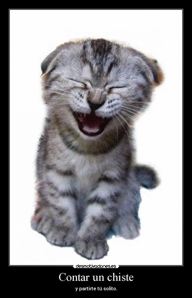 carteles chiste platade desmotivaciones