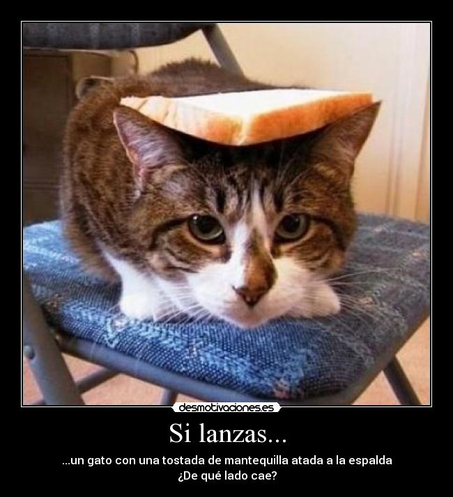 Si lanzas... - ...un gato con una tostada de mantequilla atada a la espalda
¿De qué lado cae?