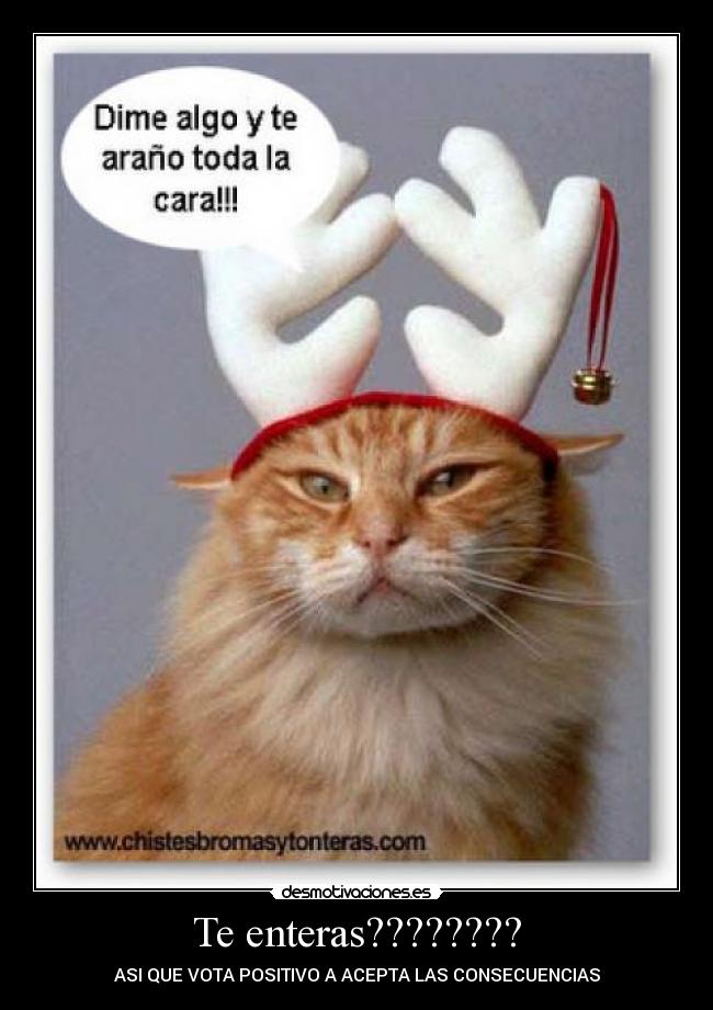 Te enteras???????? -