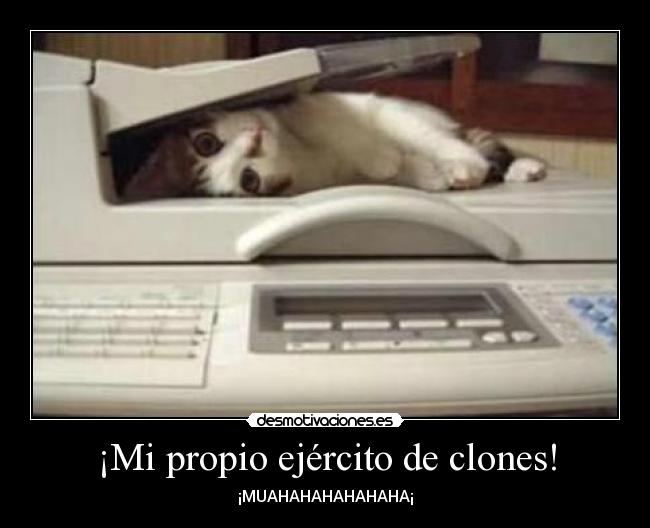 carteles gato clones desmotivaciones