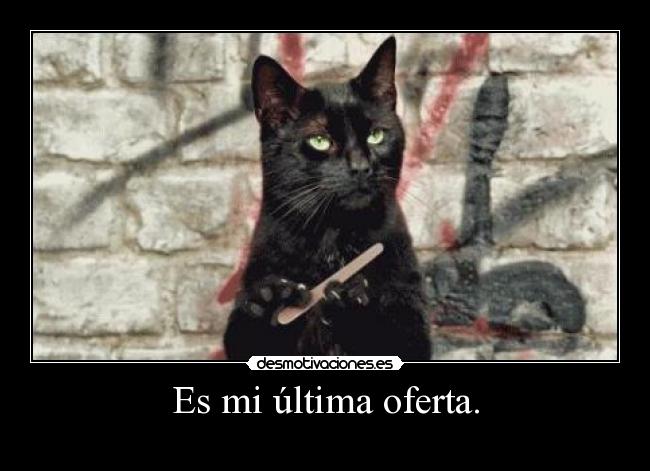 carteles gato desmotivaciones