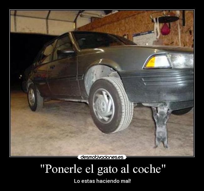 Ponerle el gato al coche - Lo estas haciendo mal!