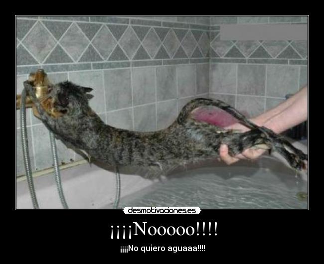 ¡¡¡¡Nooooo!!!! -