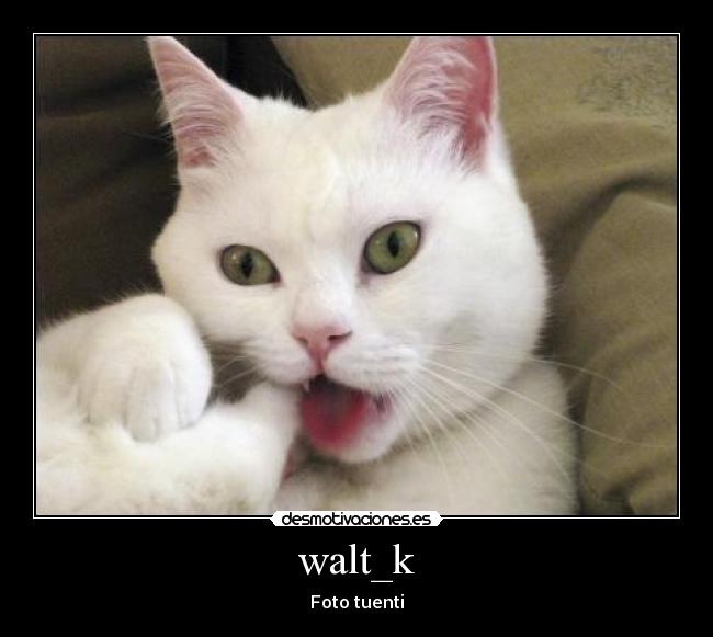 walt_k - 