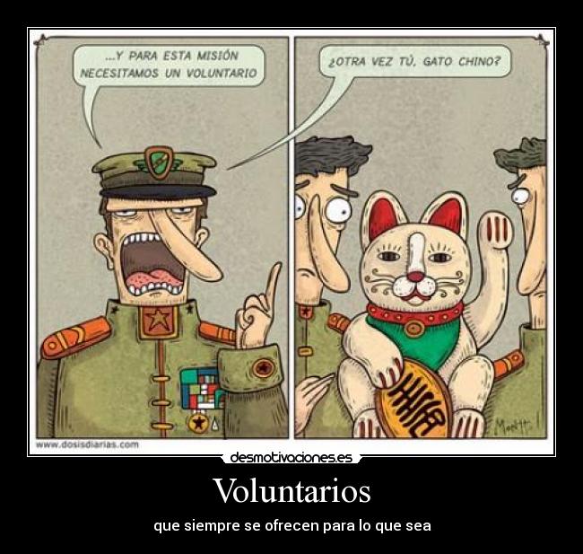 carteles voluntario desmotivaciones