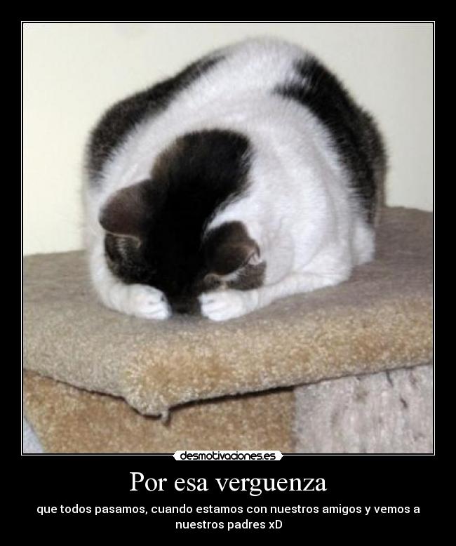 Por esa verguenza -
