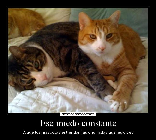 Ese miedo constante - 