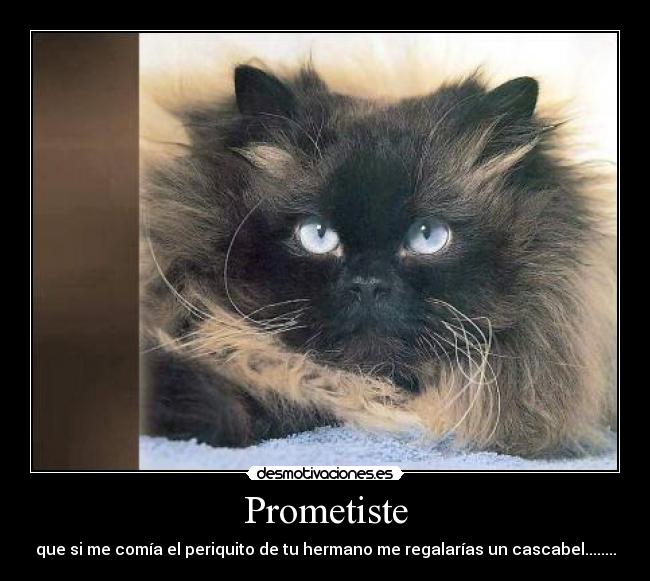 carteles senoica desmotivaciones