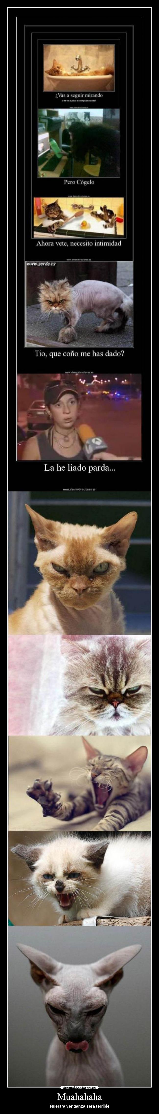 Muahahaha - Nuestra venganza será terrible
