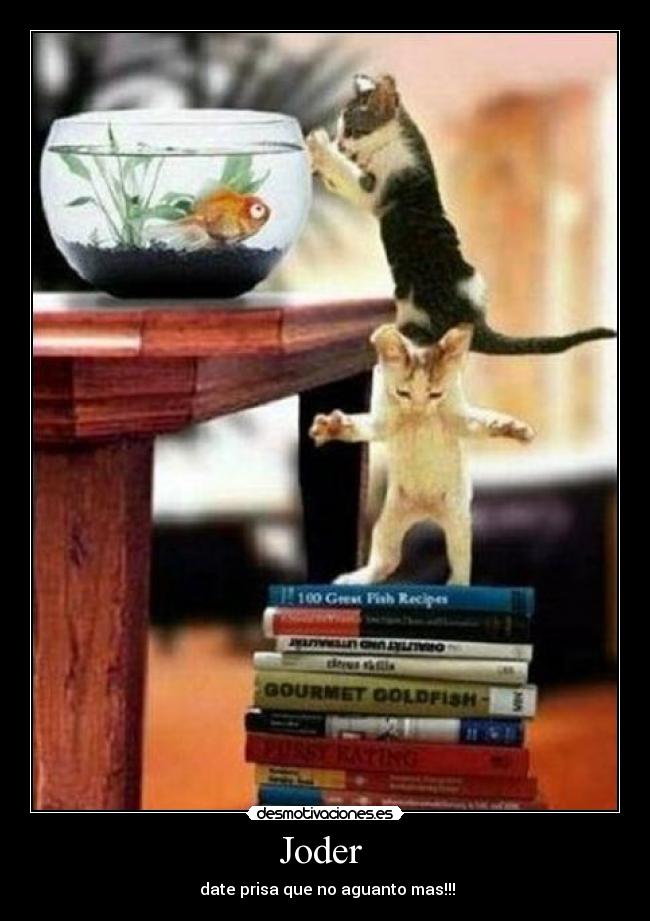 Joder -