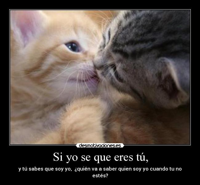 Si yo se que eres tú, - y tú sabes que soy yo, ¿quién va a saber quien soy yo cuando tu no estés?