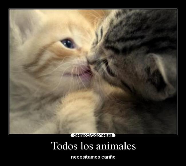 Todos los animales -
