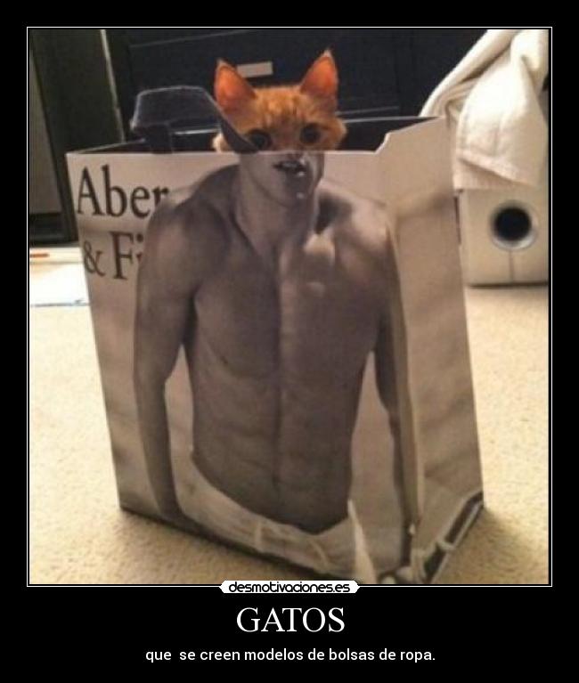 GATOS -