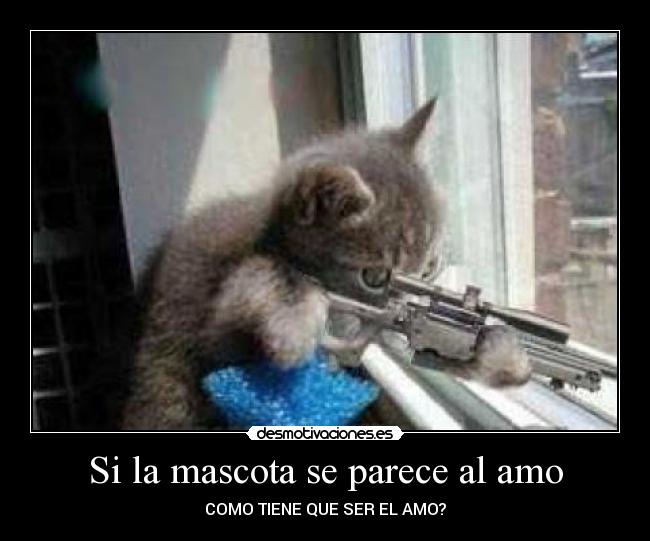 Si la mascota se parece al amo - 