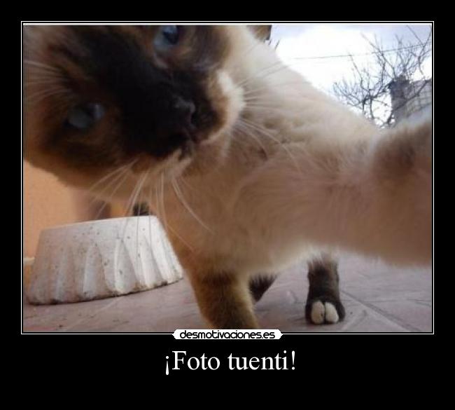 ¡Foto tuenti! -