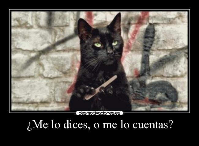 ¿Me lo dices, o me lo cuentas? - 