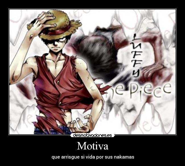 Motiva - que arrisgue si vida por sus nakamas