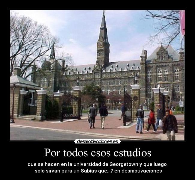 Por todos esos estudios - 