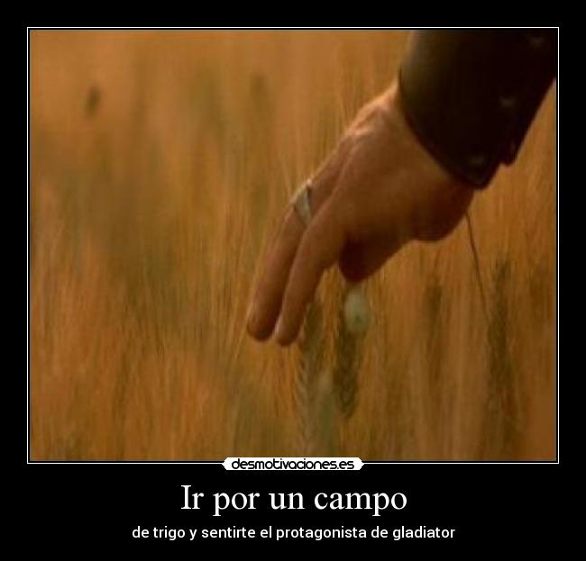 Ir por un campo - de trigo y sentirte el protagonista de gladiator