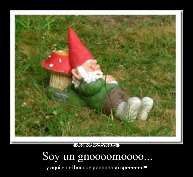 Soy un gnoooomoooo... - y aqui en el bosque paaaaaaso speeeeed!!!