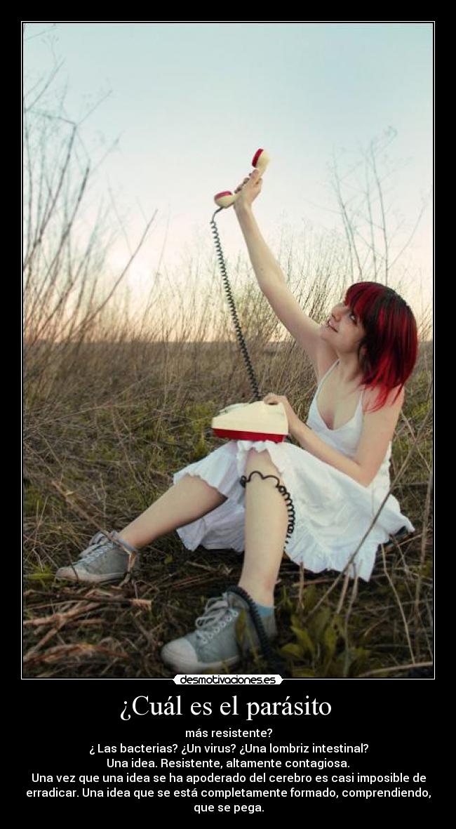 ¿Cuál es el parásito  - 