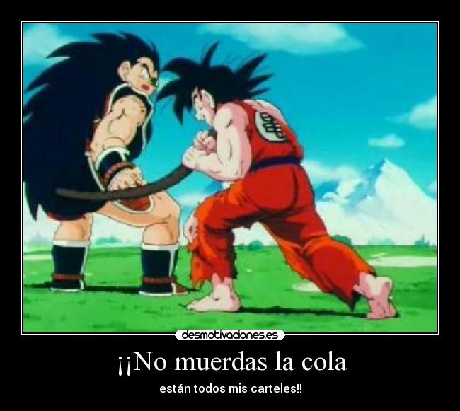 ¡¡No muerdas la cola - están todos mis carteles!!