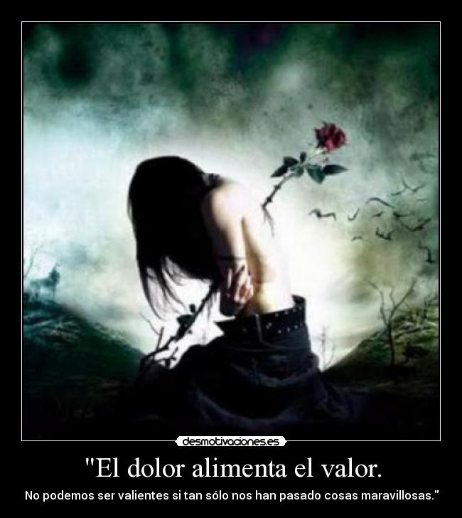 carteles dolor ksoul dolor valor desmotivaciones