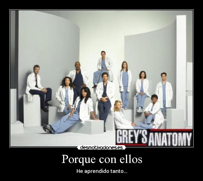 carteles anatomia grey tv medicos desmotivaciones
