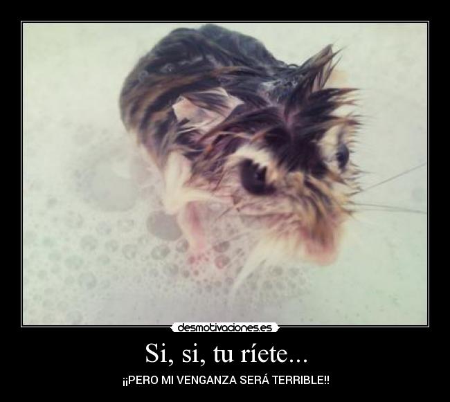 Si, si, tu ríete... - ¡¡PERO MI VENGANZA SERÁ TERRIBLE!!