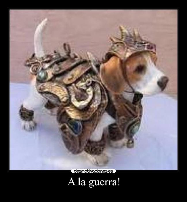 A la guerra! -