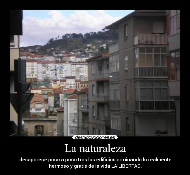 La naturaleza -
