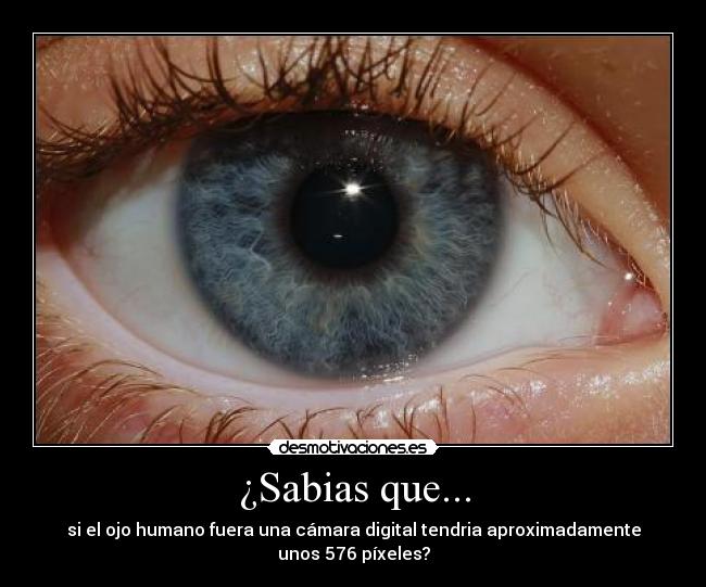 ¿Sabias que... - si el ojo humano fuera una cámara digital tendria aproximadamente
unos 576 píxeles?
