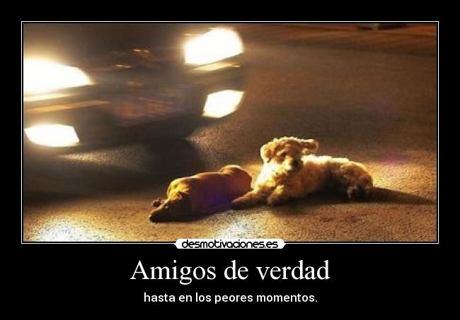 Amigos de verdad -