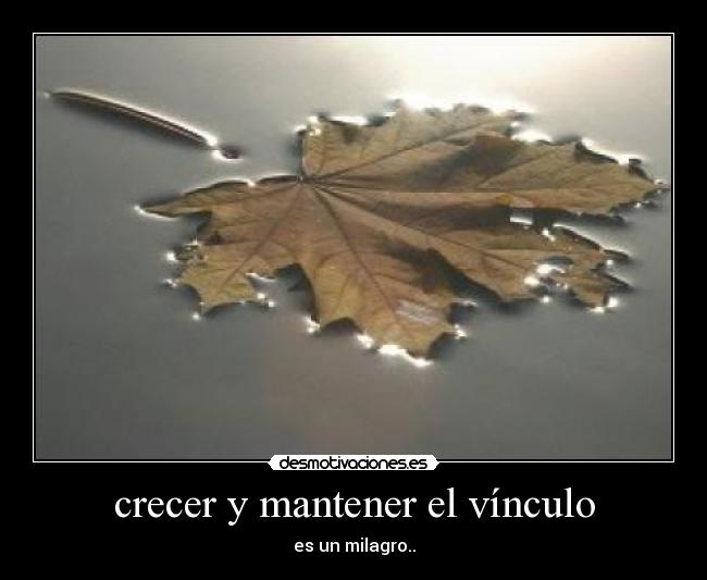crecer y mantener el vínculo - es un milagro..