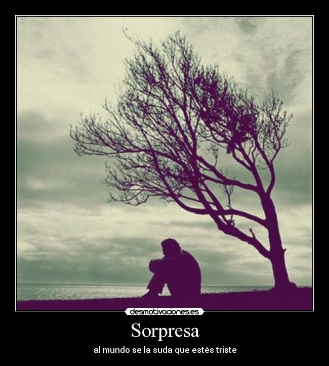 Sorpresa -