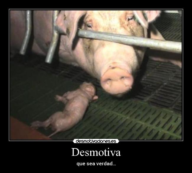 Desmotiva -