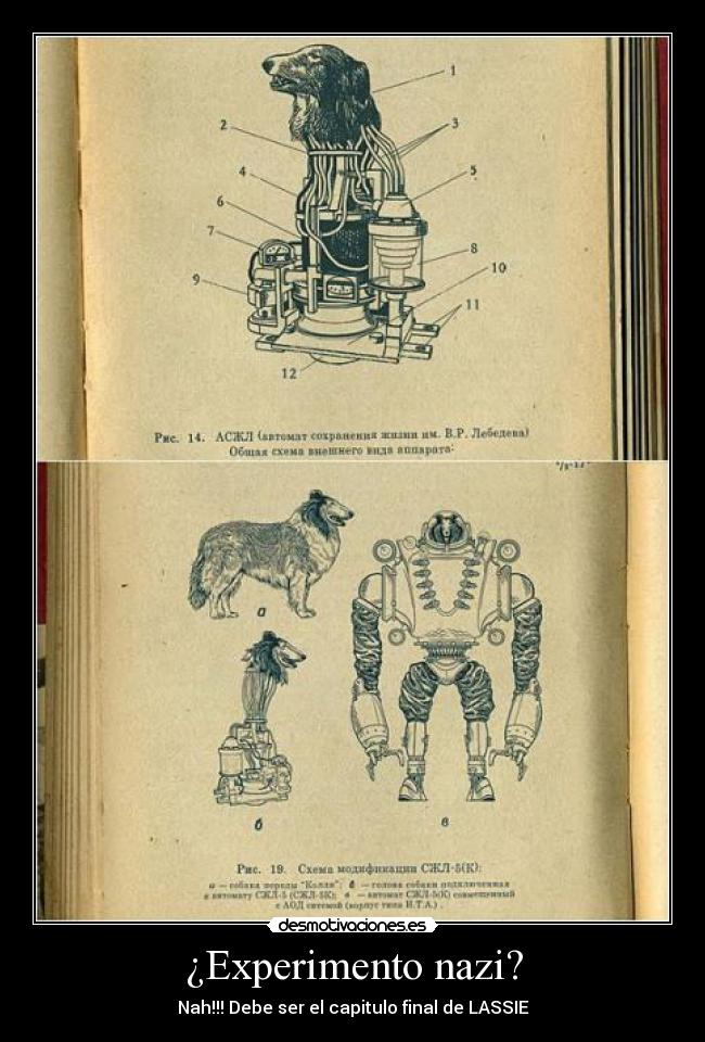 ¿Experimento nazi? - 