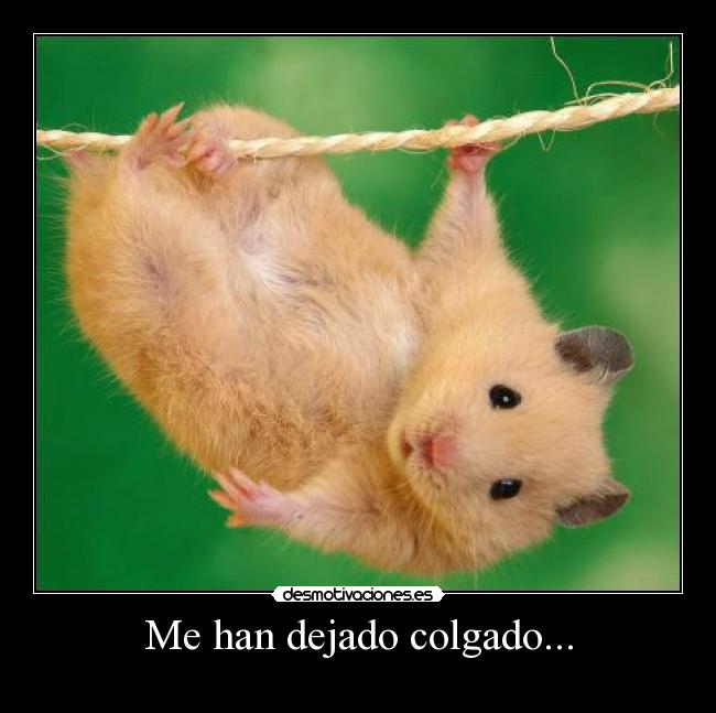 Me han dejado colgado... - 