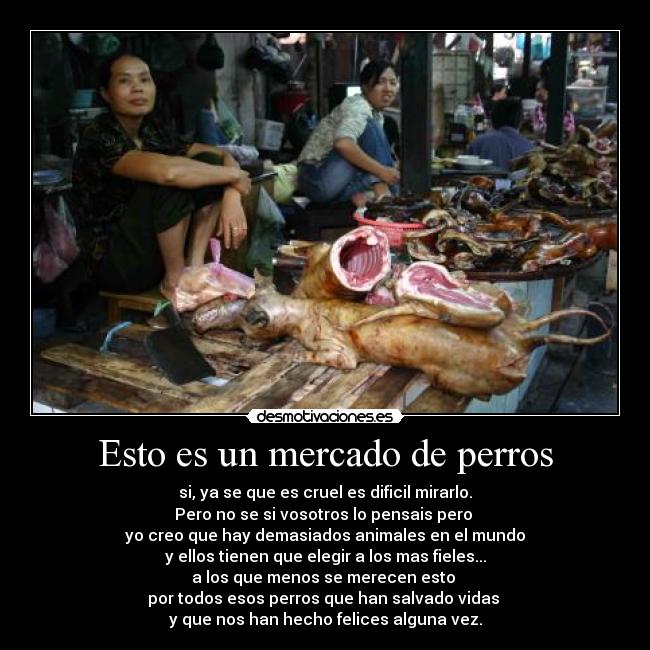 Esto es un mercado de perros - si, ya se que es cruel es dificil mirarlo.
Pero no se si vosotros lo pensais pero
yo creo que hay demasiados animales en el mundo
y ellos tienen que elegir a los mas fieles...
a los que menos se merecen esto
por todos esos perros que han salvado vidas
y que nos han hecho felices alguna vez.
