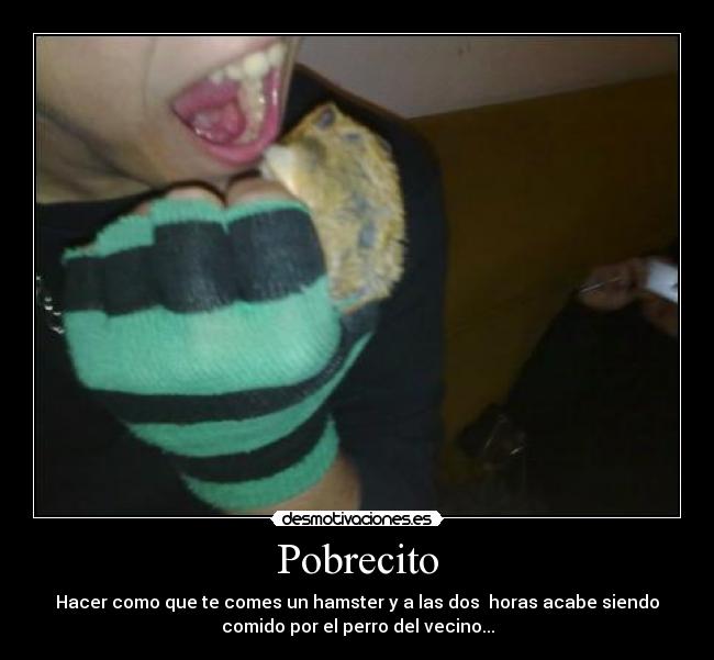 Pobrecito - 