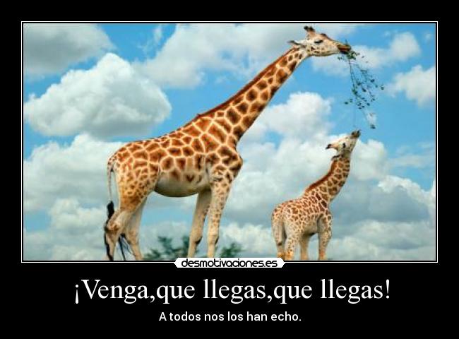 ¡Venga,que llegas,que llegas! -