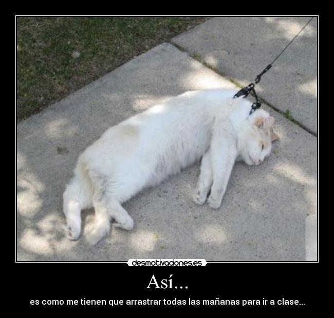 carteles helen475 desmotivaciones