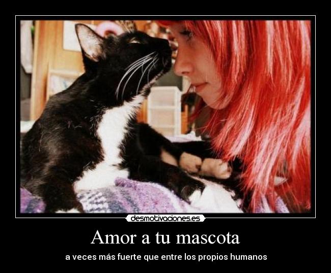 Amor a tu mascota - a veces más fuerte que entre los propios humanos