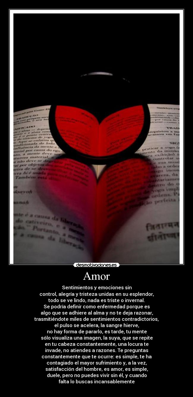 Amor - 