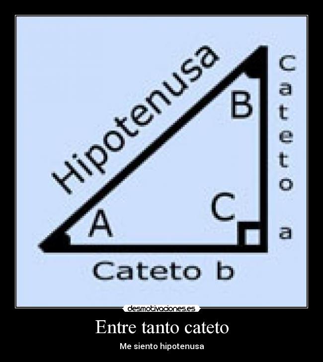 Entre tanto cateto - Me siento hipotenusa